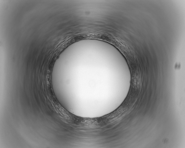 X0000091861346200709050948