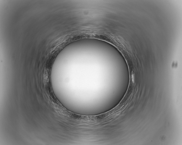 X0000091861347200709050948