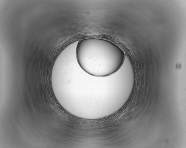 X0000091861348200709050948