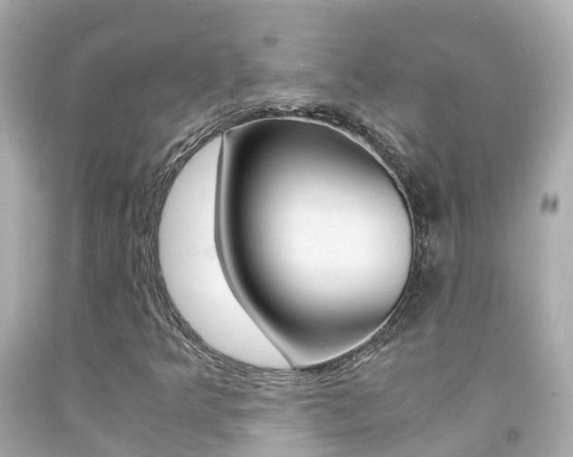 X0000091861349200709050948
