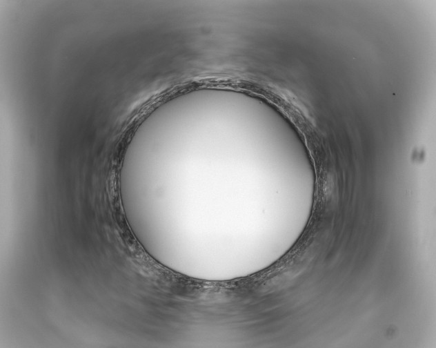 X0000091861350200709050948