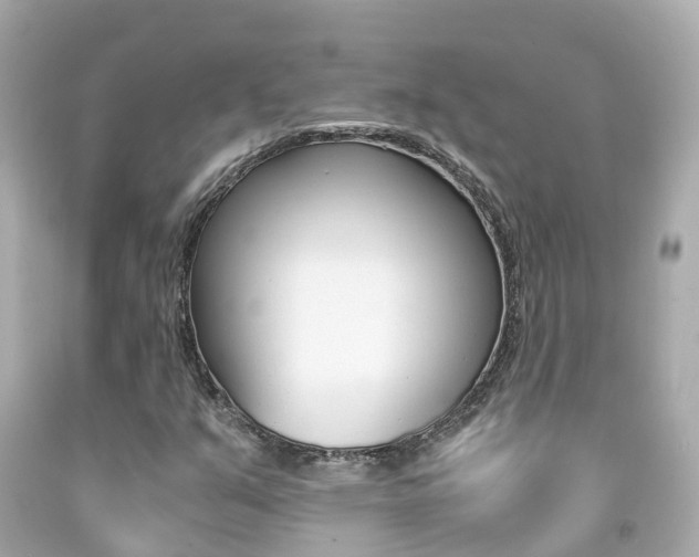 X0000091861351200709050948
