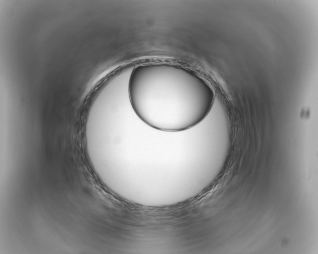 X0000091861352200709050948