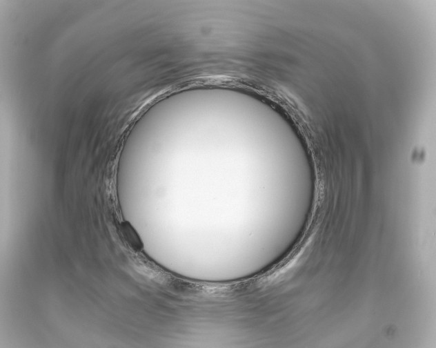 X0000091861353200709050948