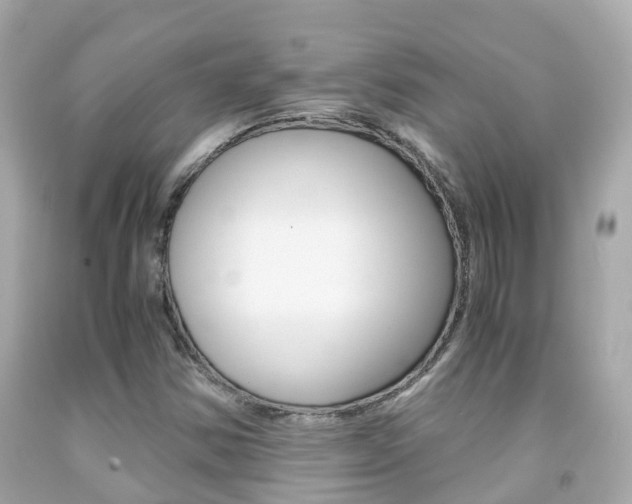 X0000091861354200709050948