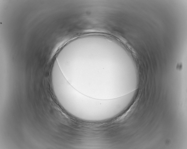 X0000091861357200709050948