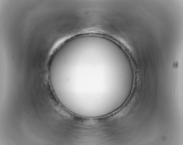 X0000091861358200709050948