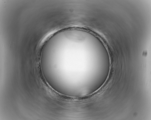 X0000091861359200709050948