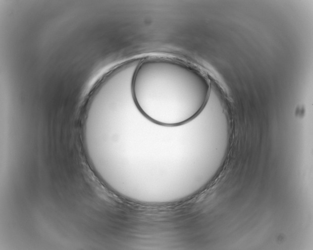 X0000091861360200709050948