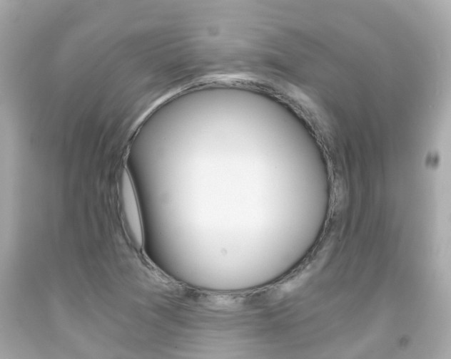 X0000091861361200709050948