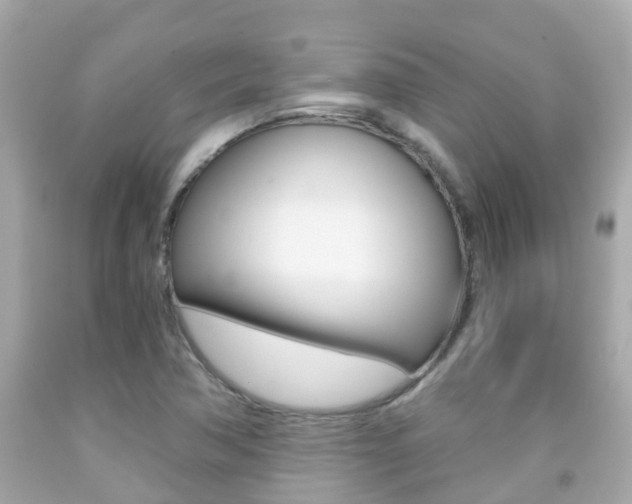 X0000091861362200709050948