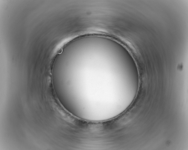 X0000091861363200709050948