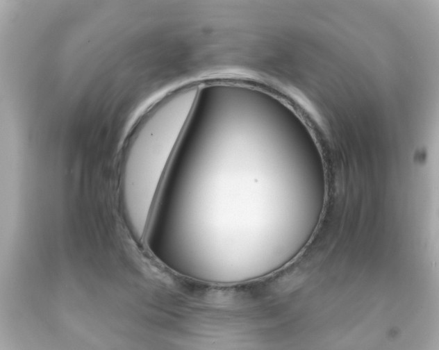 X0000091861364200709050948