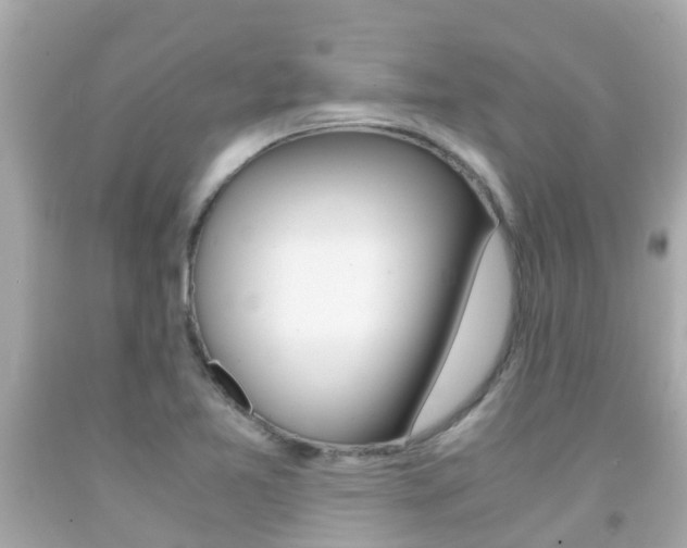 X0000091861365200709050948