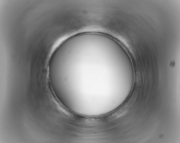 X0000091861366200709050948