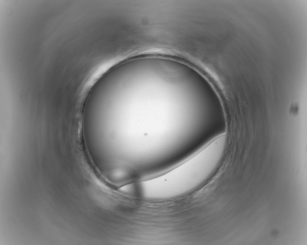 X0000091861367200709050948