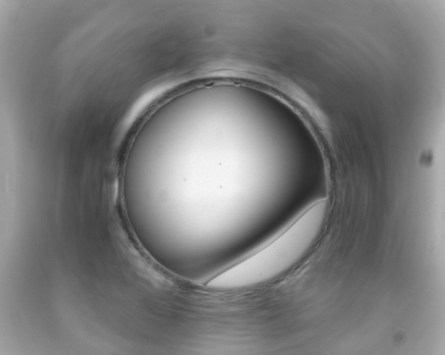 X0000091861368200709050948