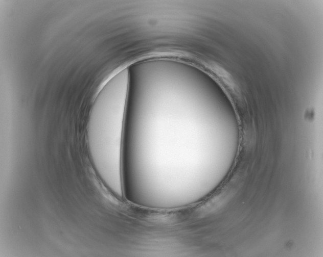 X0000091861369200709050948