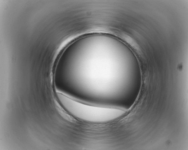 X0000091861372200709050948