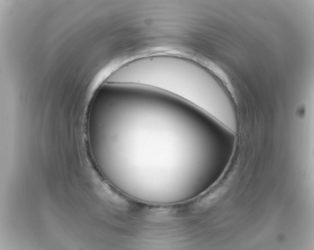 X0000091861373200709050948