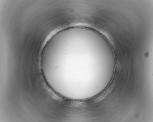 X0000091861374200709050948