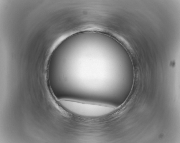 X0000091861375200709050948