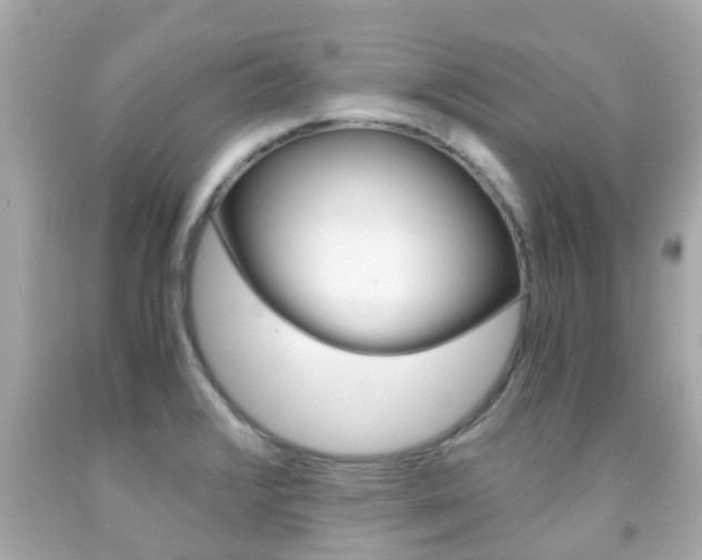 X0000091861376200709050948