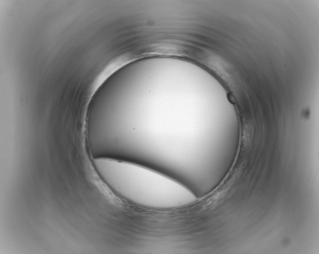 X0000091861378200709050948