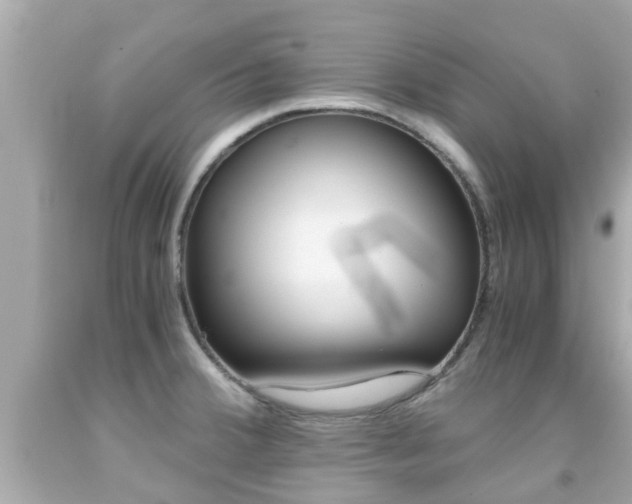 X0000091861380200709050948