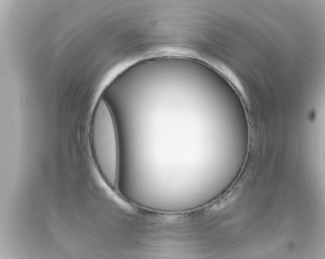 X0000091861381200709050948