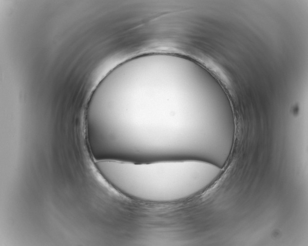 X0000091861382200709050947