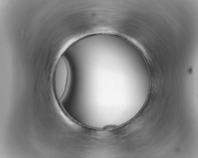 X0000091861383200709050947