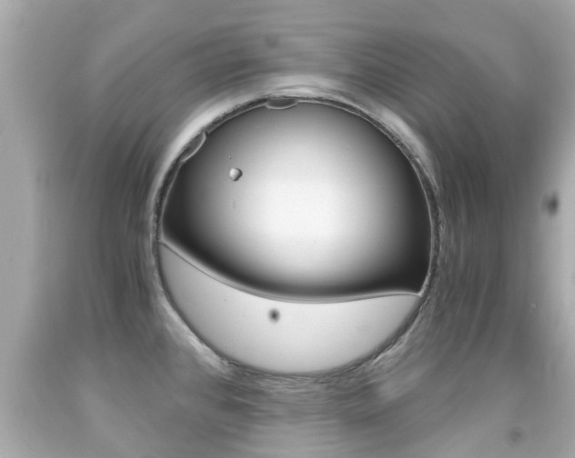 X0000091861384200709050947