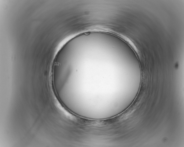 X0000091861387200709050947