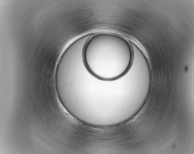 X0000091861388200709050947