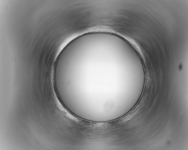 X0000091861390200709050947