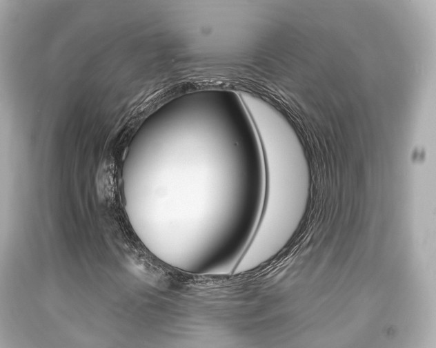 X0000091861394200709050947