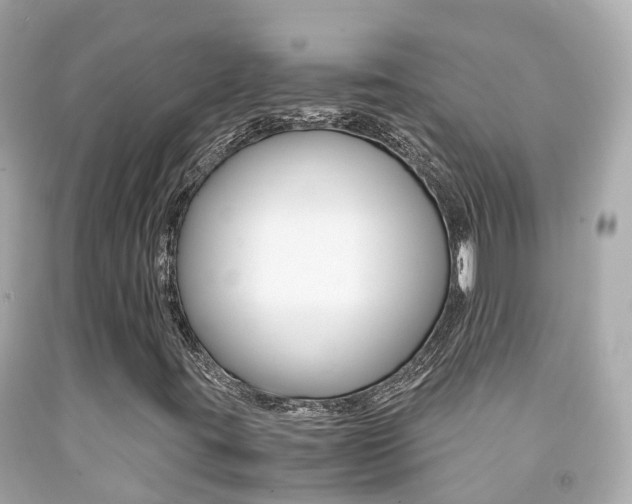 X0000091861395200709050947