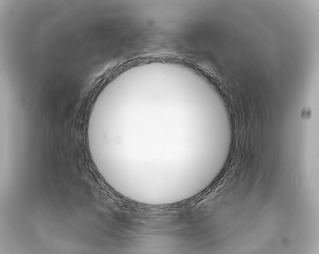 X0000091861398200709050947
