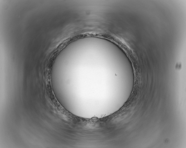 X0000091861399200709050947