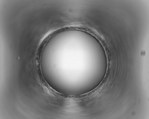 X0000091861400200709050947