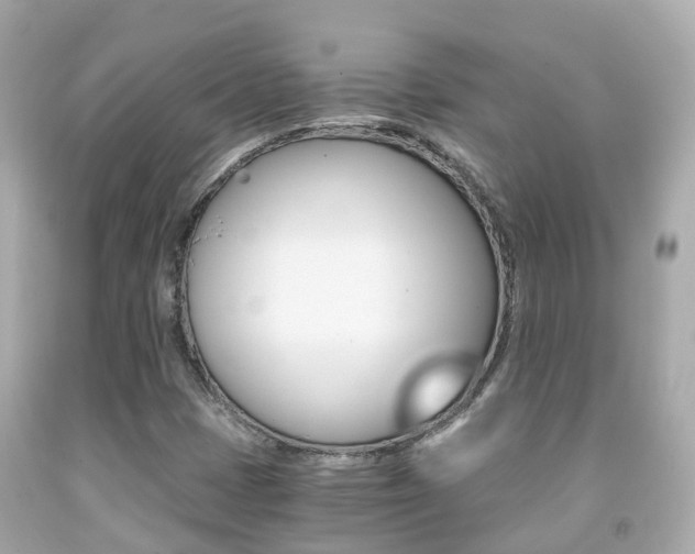 X0000091861401200709050947