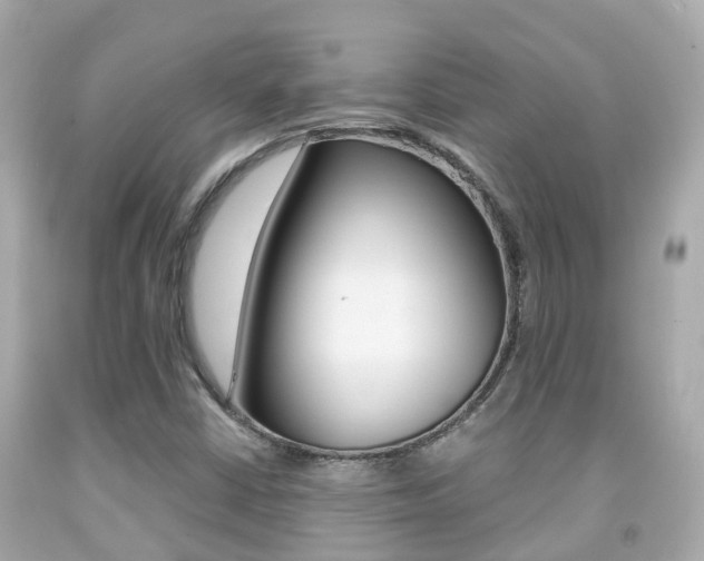 X0000091861402200709050947
