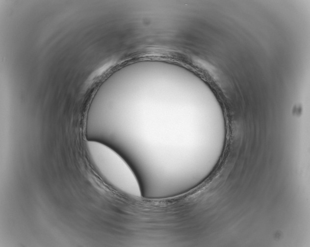 X0000091861403200709050947