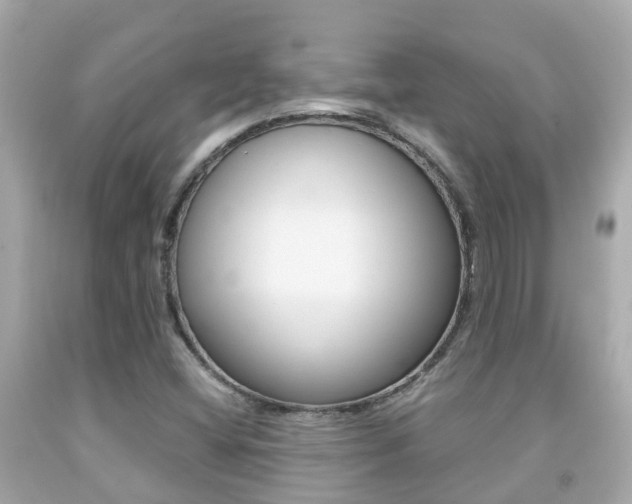 X0000091861404200709050947