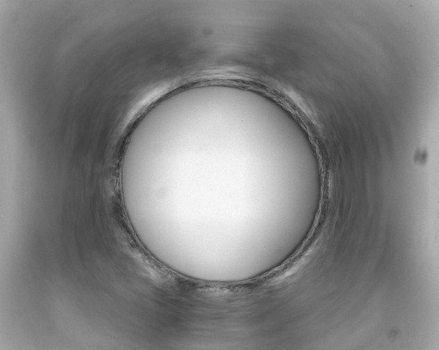 X0000091861405200709050947