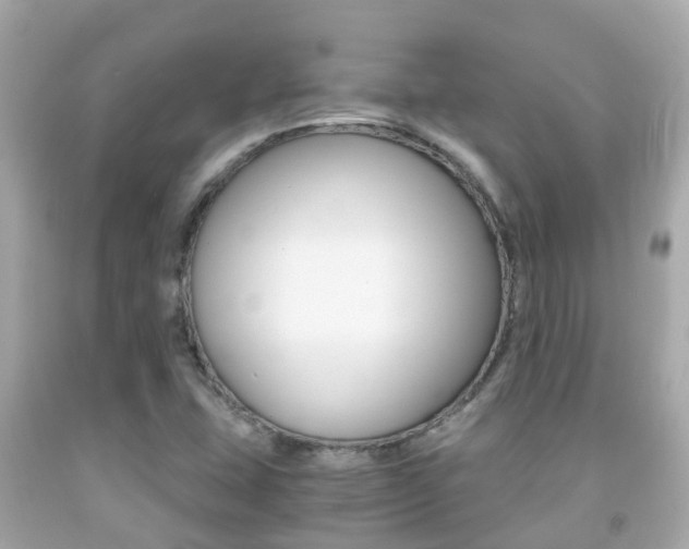 X0000091861407200709050947
