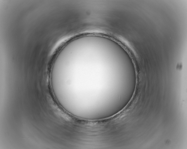 X0000091861408200709050947