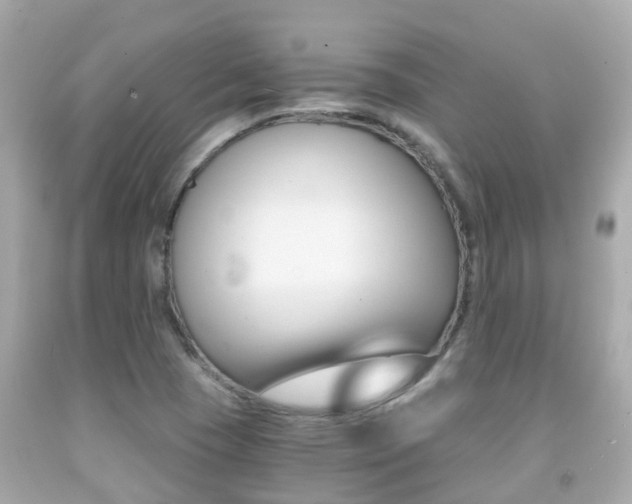 X0000091861409200709050947