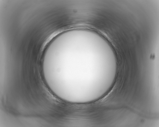 X0000091861410200709050947